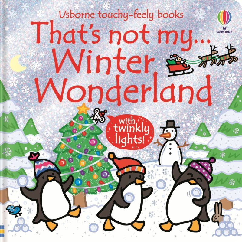That’s not my… Winter Wonderland